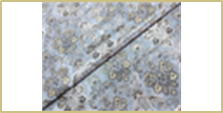 DETAIL_PICTURE